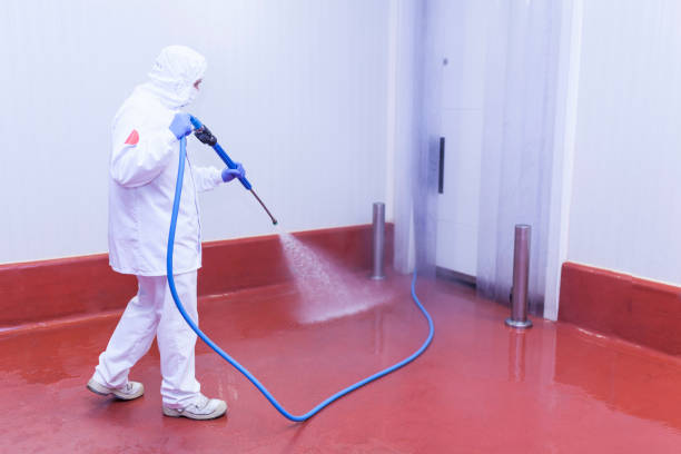 Best Paint Preparation  in Niceville, FL